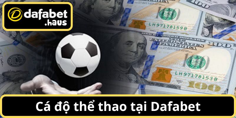 Cá độ thể thao tại thương hiệu Dafabet vô cùng hấp dẫn