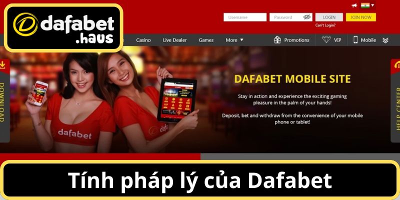 Nhà cái luôn đảm bảo tính pháp lý và an toàn cho người dùng